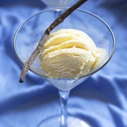 vanilla bean ice cream